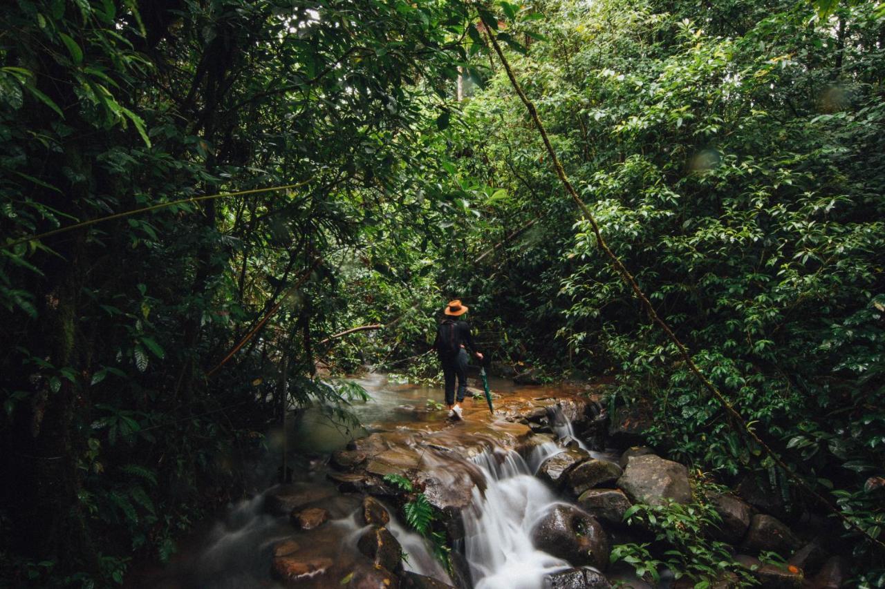 La Tigra Rainforest Lodge Ла Фортуна Экстерьер фото