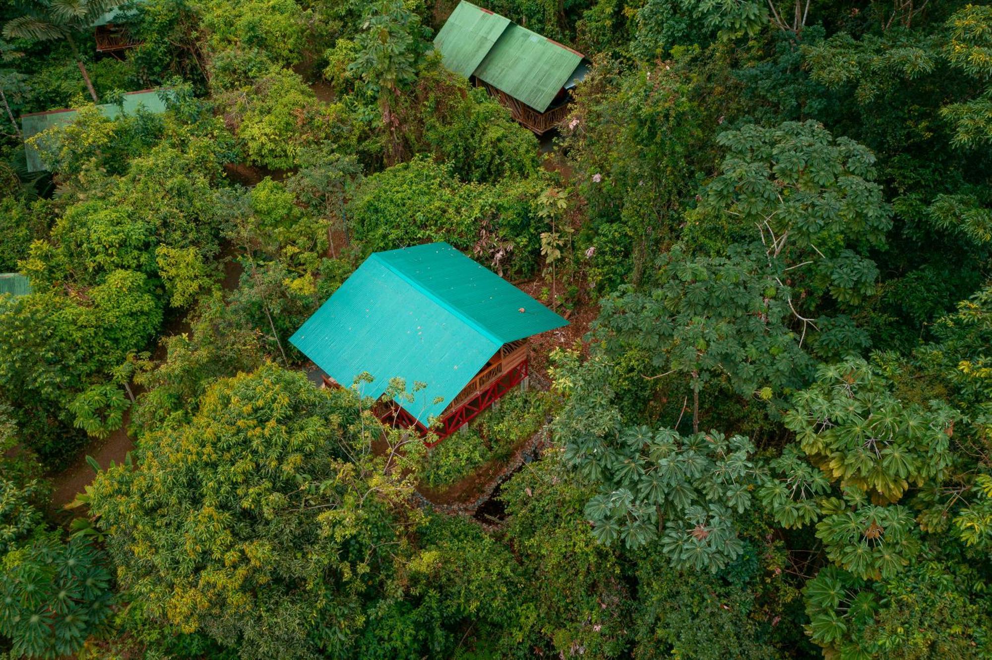 La Tigra Rainforest Lodge Ла Фортуна Экстерьер фото
