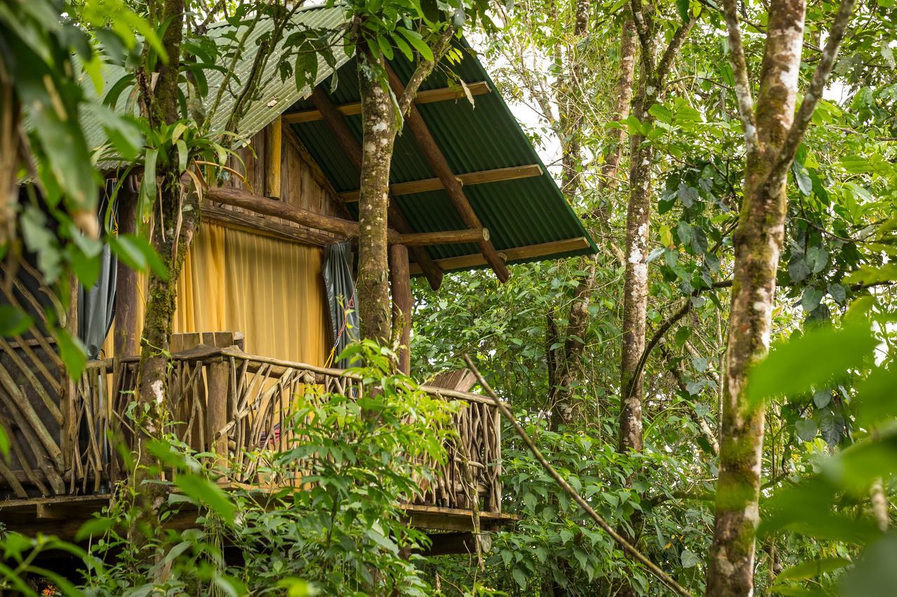 La Tigra Rainforest Lodge Ла Фортуна Экстерьер фото